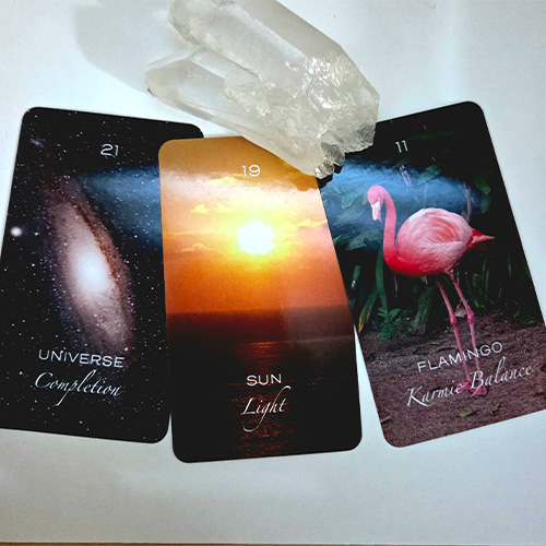 8. Transformation Bundles