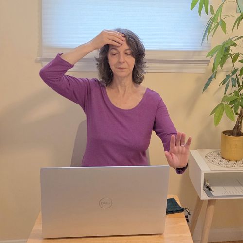 Saralee Emotion Code Service